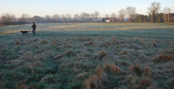 Walking dog on frosty morning
